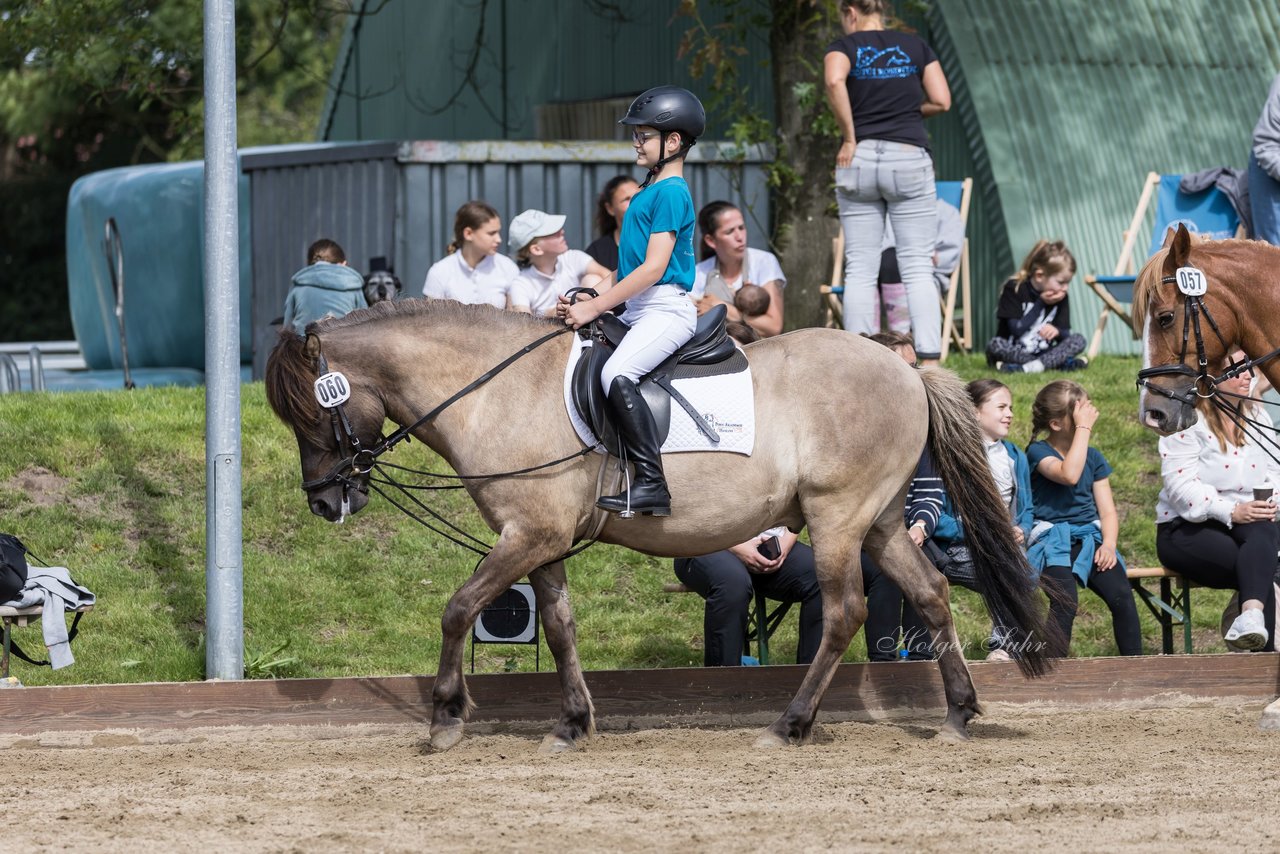 Bild 15 - Pony Akademie Turnier